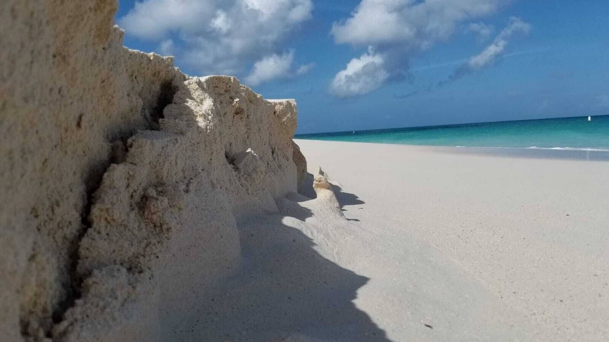 Aruba Apartment | Luxury Eagle Beach Apart Ground Floor with Direct Pool Access one step Beach