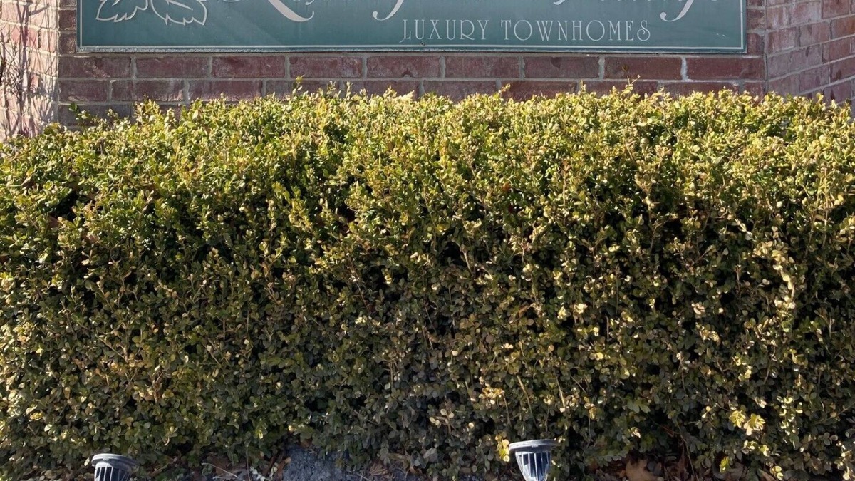 Logan House | Luxury five bedroom townhouse! Great location just off of Main Street!
