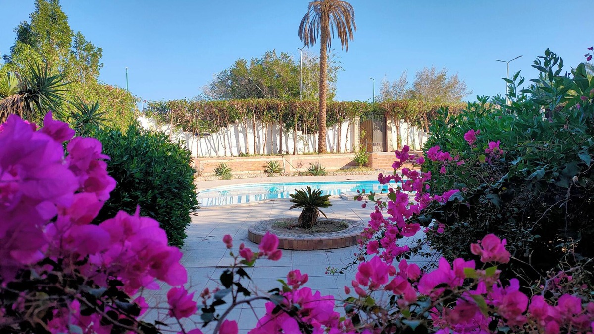 Al Mamsha El Seyahi Apartment | Luxury Garden house pool WiFi Hurghada