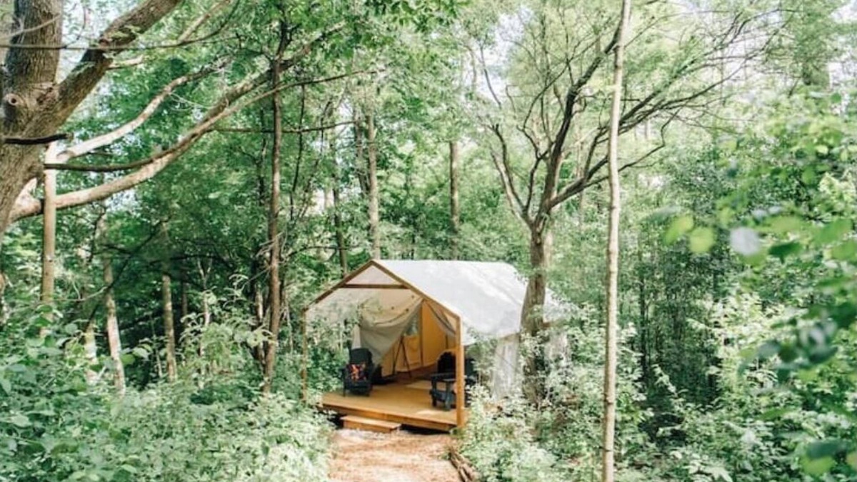 Elora Cabin | Luxury Glamping on Elora Flower Farm - Fox