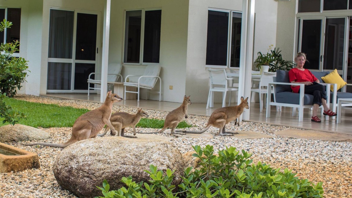 Clifton Beach House | Luxury Home in Nature surrounded by Wallabies