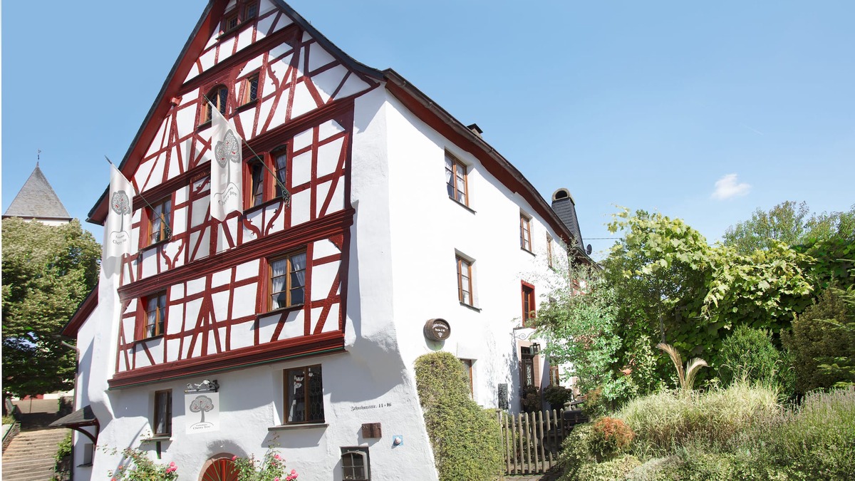 Bullay House | Luxury house with wellness area on the Moselle for 15 people, pet-friendly!