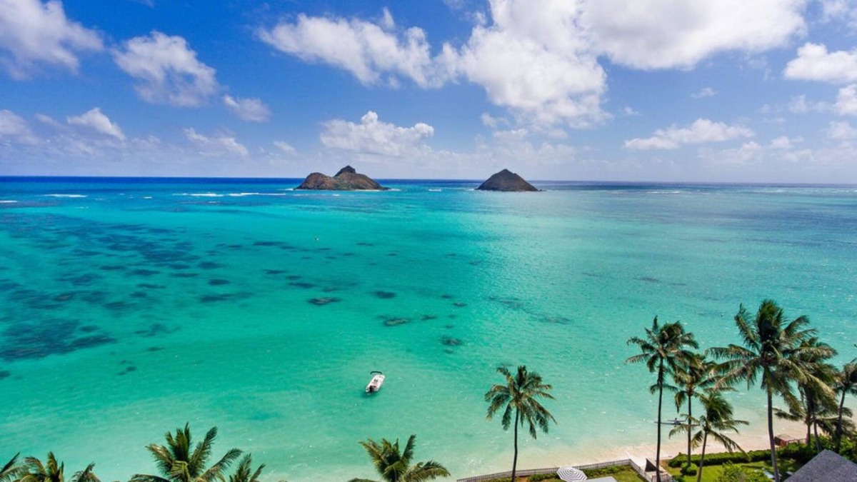 Keolu Hills House | Luxury Kailua Getaway 4BR/2BA for Families/Pets