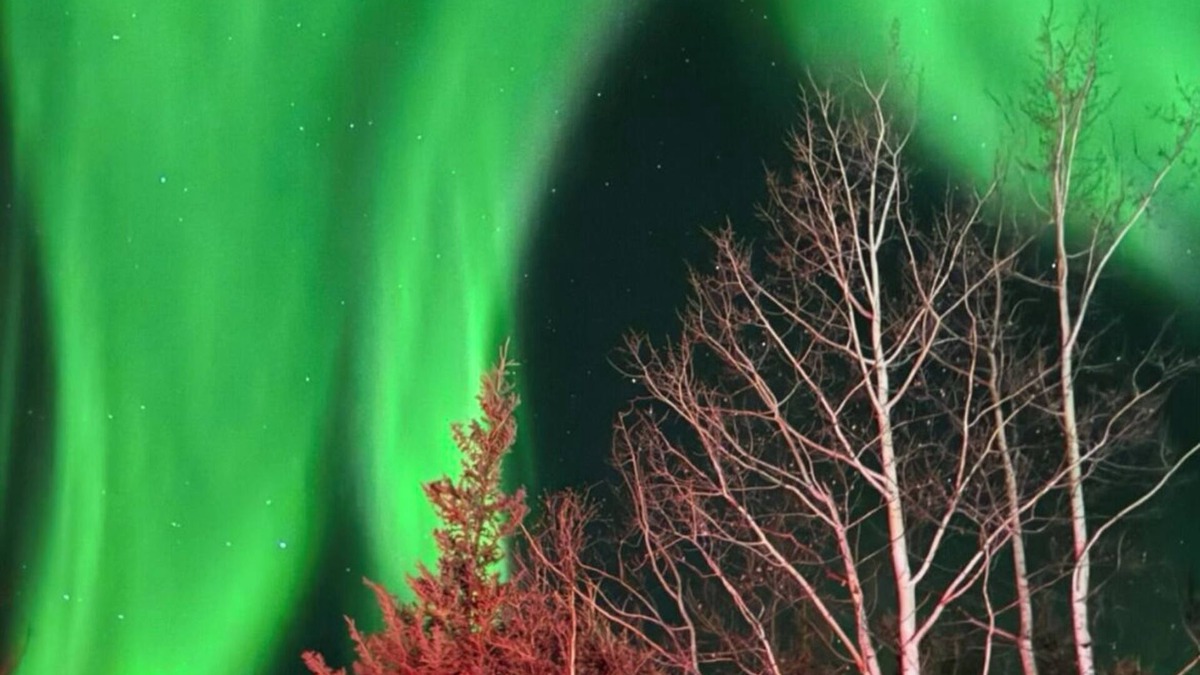 College House | Luxury Northern Light Oasisn