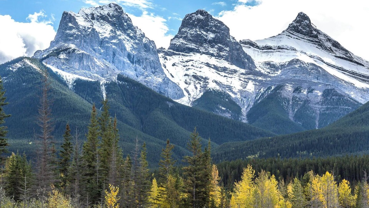 Canmore Condo | Luxury Penthouse Condo-Pet Friendly with Vaulted ceilings, best of everything