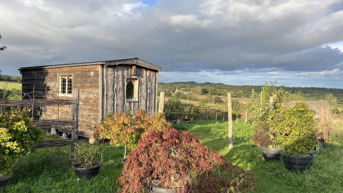 Much Birch Cabin | Luxury Shepherd's Hut Style Cabin With Views