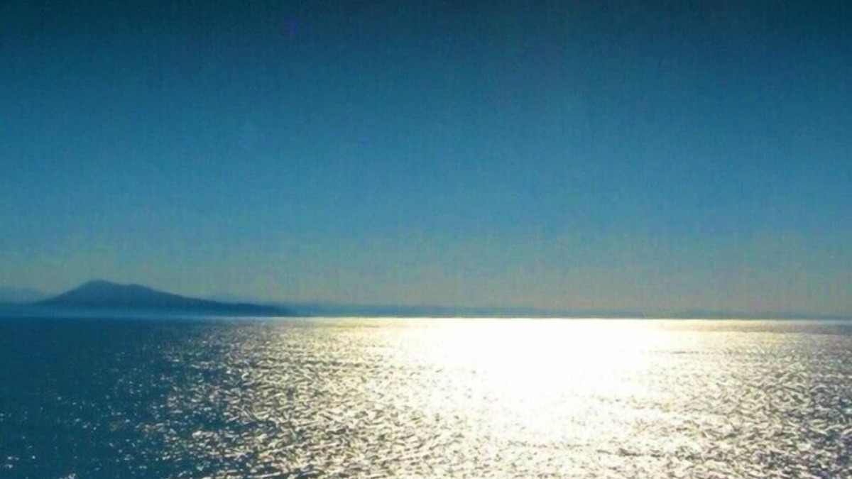 Biarritz Apartment | Luxury studio 1st line Ocean for 2 persons