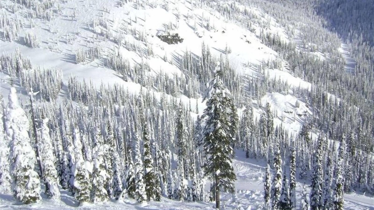 Whitefish House | Luxury Townhouse: Ski-in Ski Out at Whitefish Mountain Resort