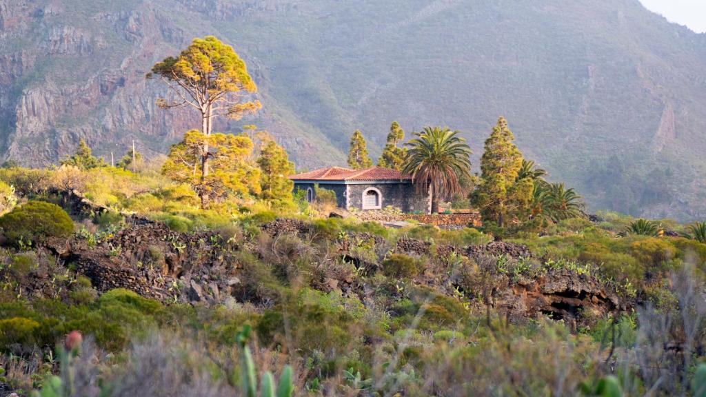 Santiago del Teide Villa | Luxury villa in Nature with Swimming pool Tenerife, Santiago del Teide, with sea and mountain views