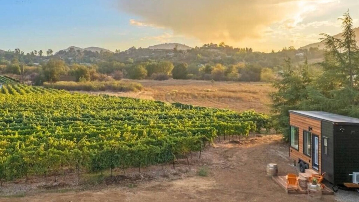 Ramona Cabin | Luxury Vineyard Escape w Fireplace - Malbec