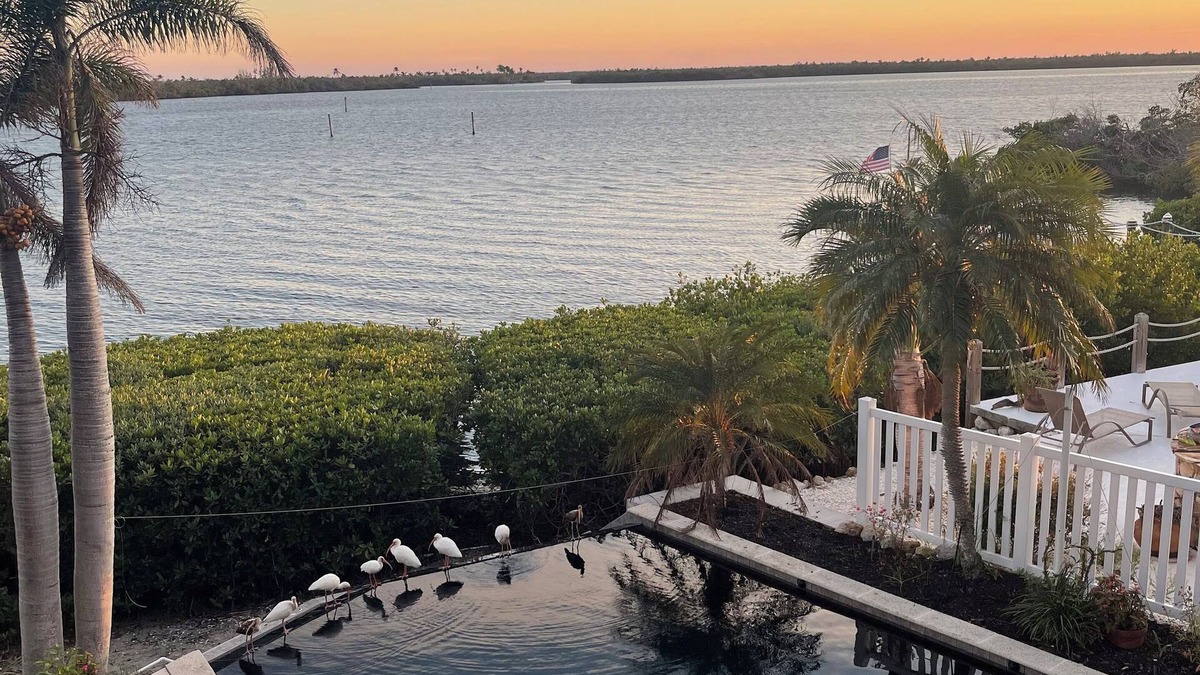 Bokeelia House | Luxury Waterfront Paradise in Bokeelia - Infinity Pool, Dock and Outdoor Bar