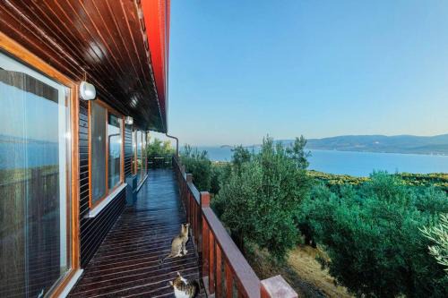 Bandirma Apartment | Luxury Wooden House İn The Heart Of Nature