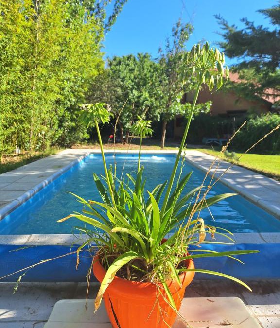 Carpinteria Apartment | Luz de Cabaña