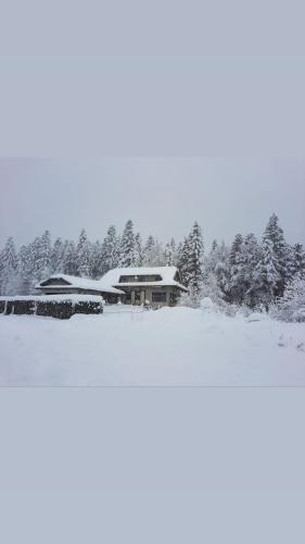 Delnice House | LYNX HOUSE