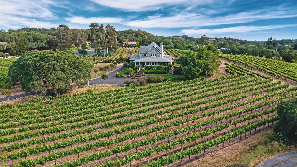 Healdsburg House | Lytton Station Vineyard - Stunning 360-degree vineyard views