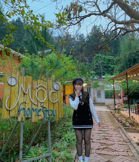Moc Chau Cabin | Mộc House
