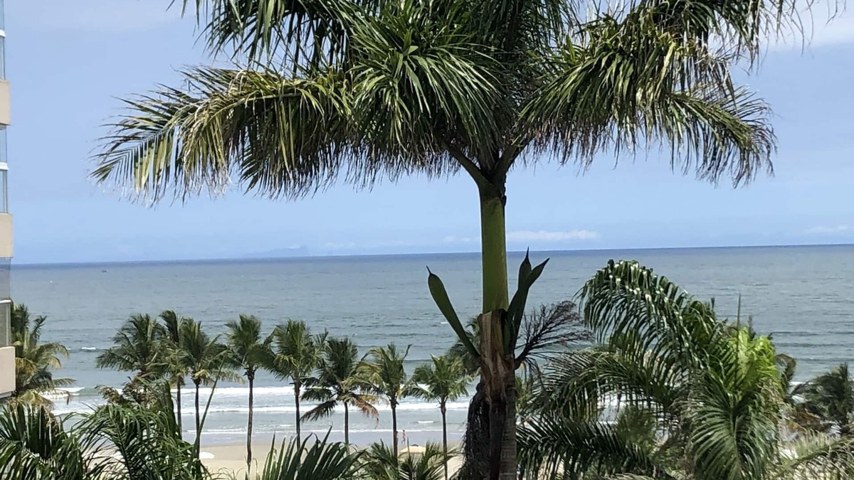 Riviera de Sao Lourenco Apartment | M3 Kingston Town 61