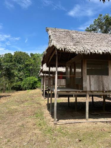 Saquena Other | Macaw Adventures Lodge