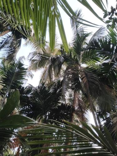 Nagaon House | MADHULI COTTAGE