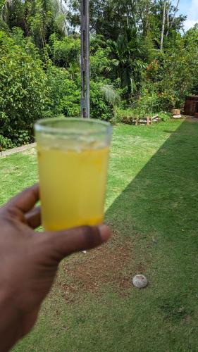 Palindanuwara Apartment | Madu's Mountain View Home