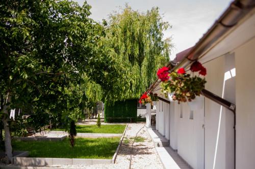 Mamaia-Sat House | Mafmaf Tiny Houses