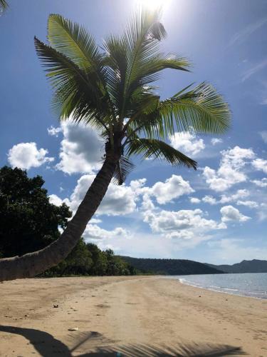Busuanga Hotel | Magalong Beach Resort