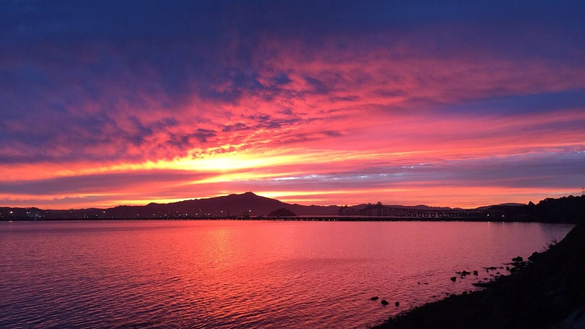 Point Richmond House | Magical SF Bay Beachfront Luxury Retreat! Spectacular Spot! Weekly Special Rates