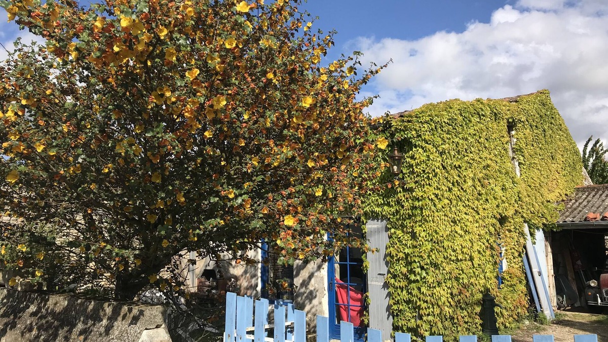 Saint Froult Cottage | Magnificent gite in a natural area 1km from the beach