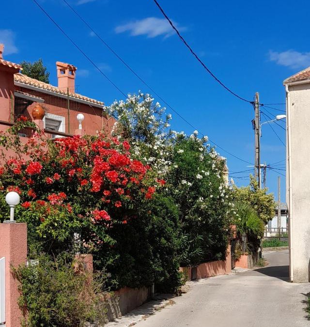 Macinaggio House | Magninca 2
