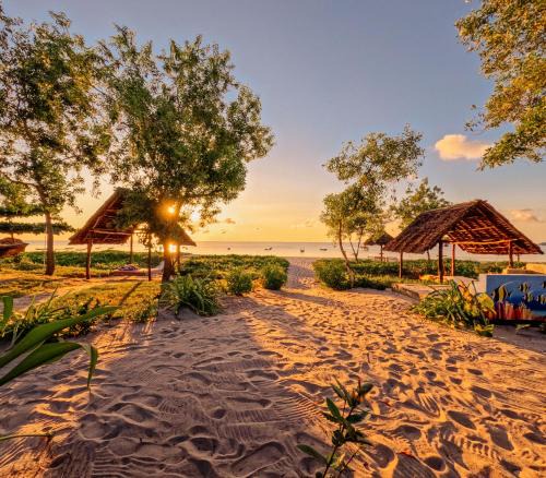 Mafia Island Hotel | Maisara Mafia Beach Lodge