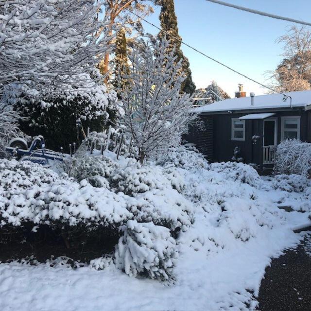 Mount Victoria House | Maisie's Cottage
