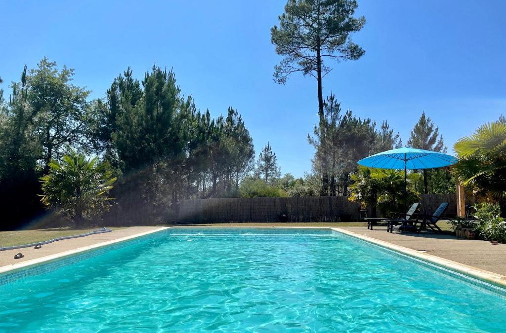 Labrit House | maison avec piscine au cœur de la forêt
