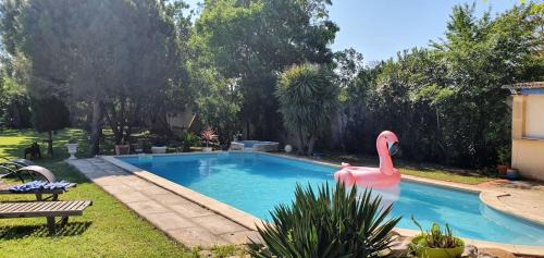 Narbonne House | Maison charmante à Narbonne avec piscine et jardin