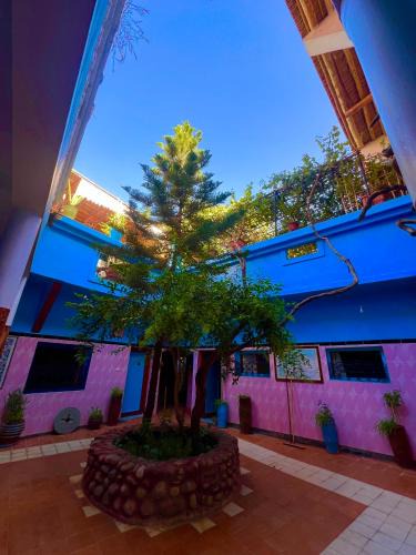 Toudgha El Oulia Hotel | Maison d'hôte Riad Todra