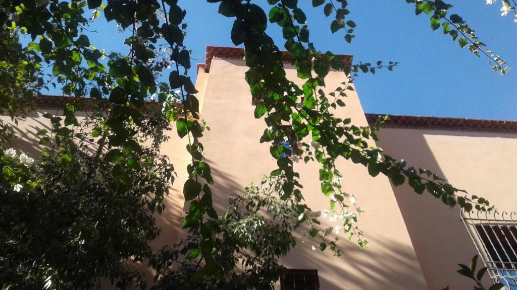 Daoudiate House | Maison d'hôtes Albahia