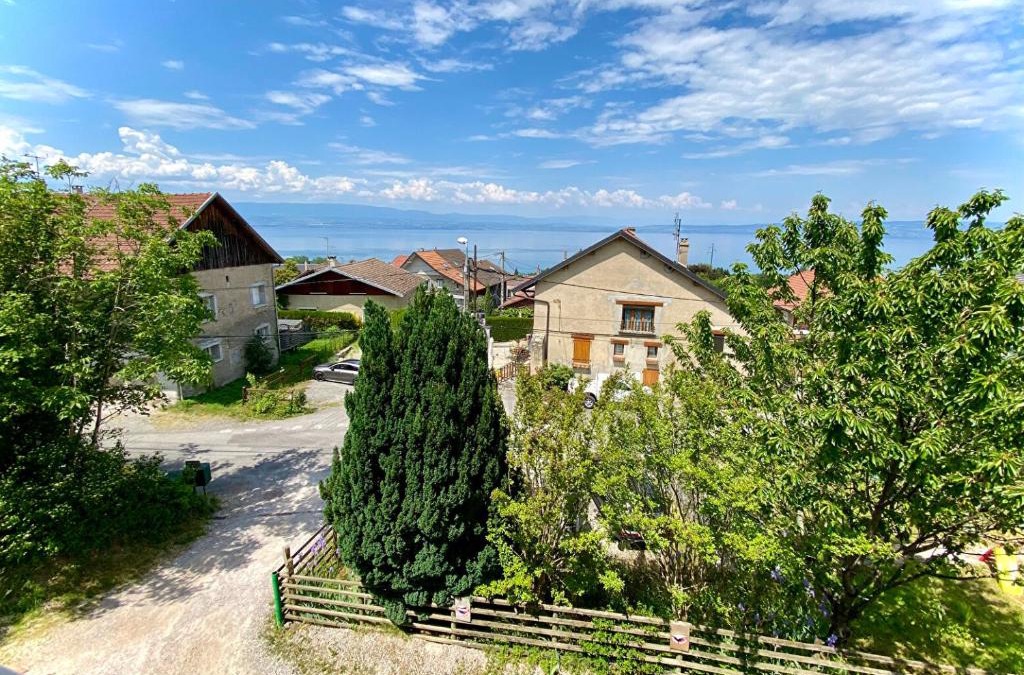 Publier House | Maison familiale vue lac avec jardin - à 10mn du lac et stations de ski