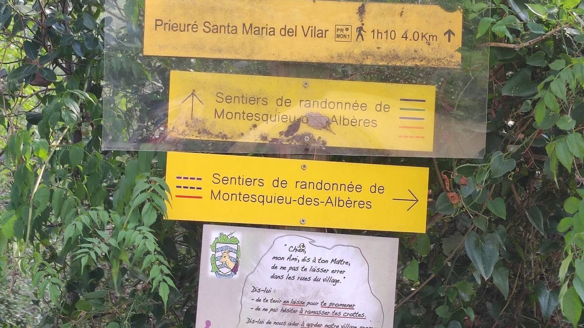Montesquieu-des-Alberes Villa | Maison Calme en Plaît Nature Sans vis a vis