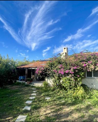 Hyeres House | Maison Hyeres Almanarre