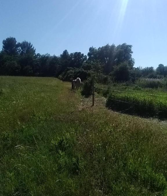 Aups House | Maison individuelle 5 couchages dans Ferme Equestre