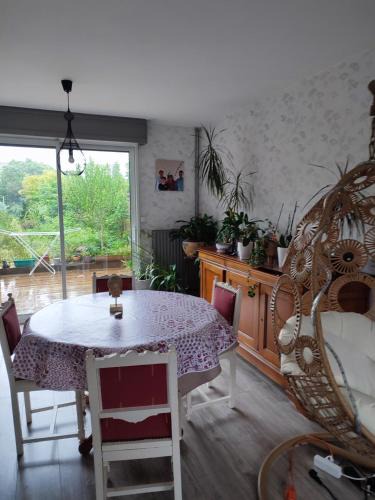 Lambersart House | Maison jardin calme