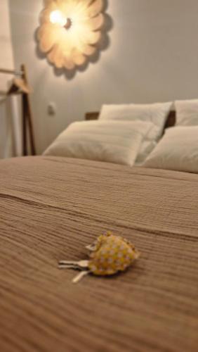Blagnac House | Maison LAVIGNE