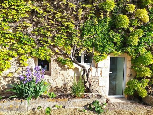 Avanton House | Maison Les Iris - 3 chambres et 3 salles de bain - 3 à 6 personnes - Futuroscope