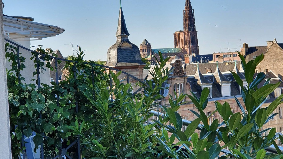 Kable Hotel | Maison Lutetia R
