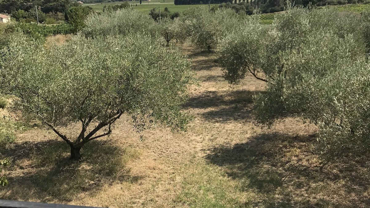 Pont-Saint-Esprit House | Maison neuve en Provence pour 4 personnes