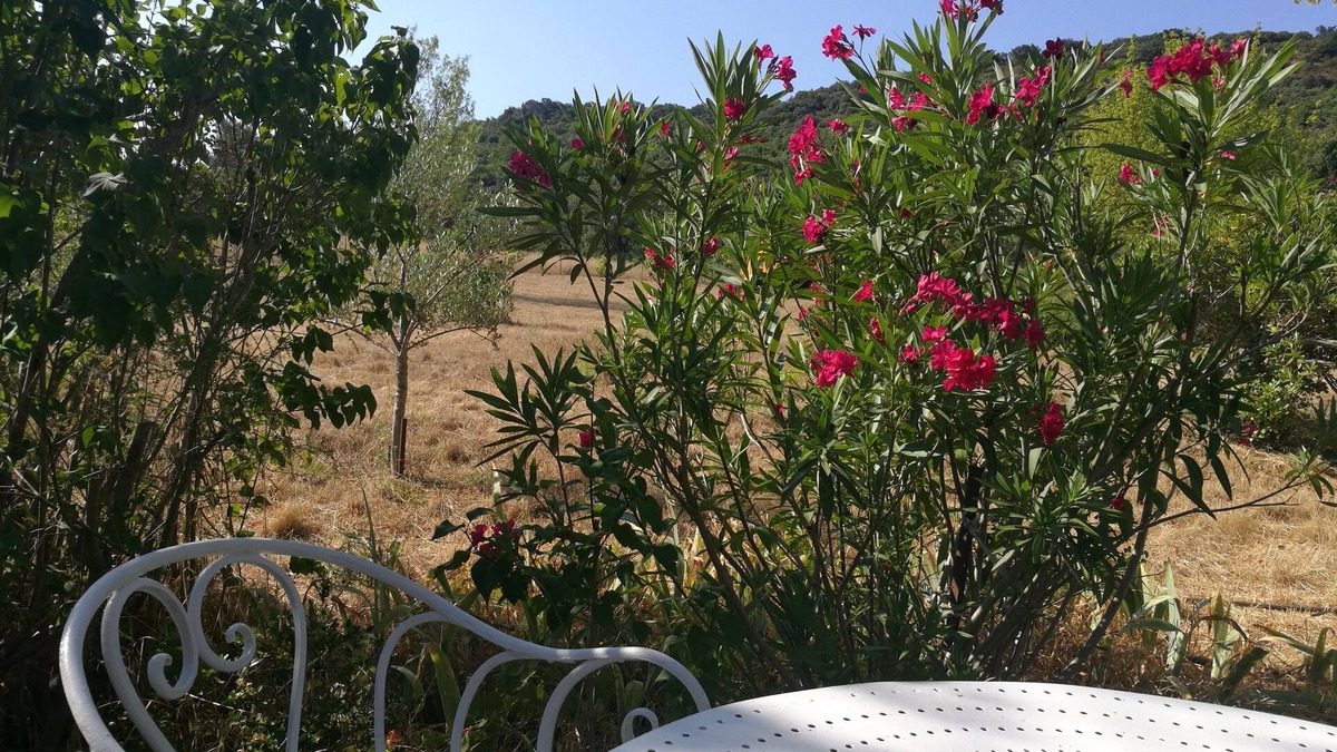 Aumelas House | Maison Nichée au Cœur de la Garrigue