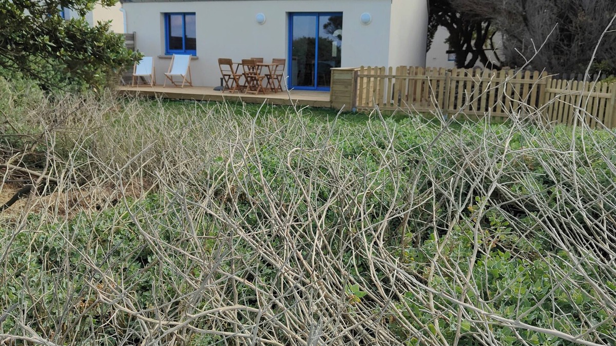 Plozevet House | Maison Océan direct access to the sea from the garden