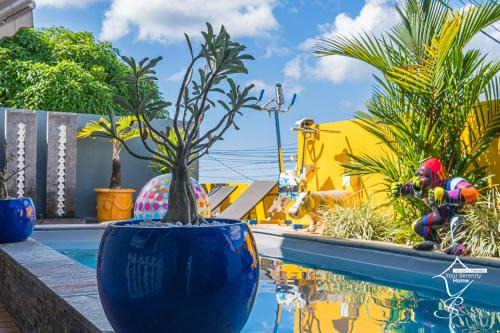 Fond Lahaye Villa | MAISON SUNNY, Piscine chauffée et prestations haut de gamme