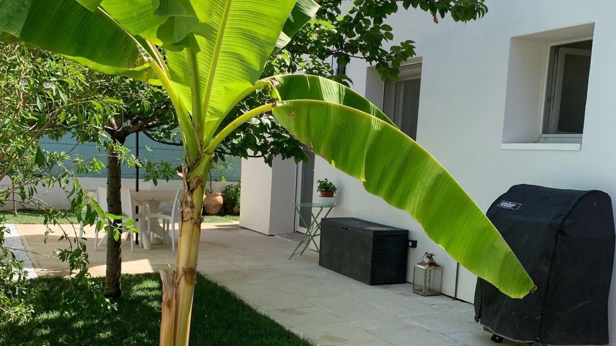 Saint-Martin Cabin | Maison T4 Clim Jardin et Jacuzzi à Montpellier sud