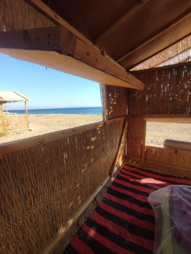 St. Catherine Other | Makany Makanak Camp
