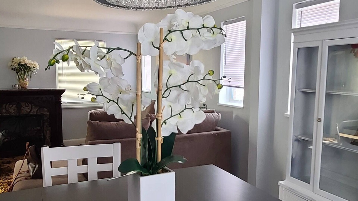Detroit House | "Make Memories in Detroit: Reserve Your Dream Rental Today!"